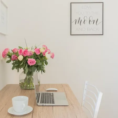 Tina's Window On By Rent *