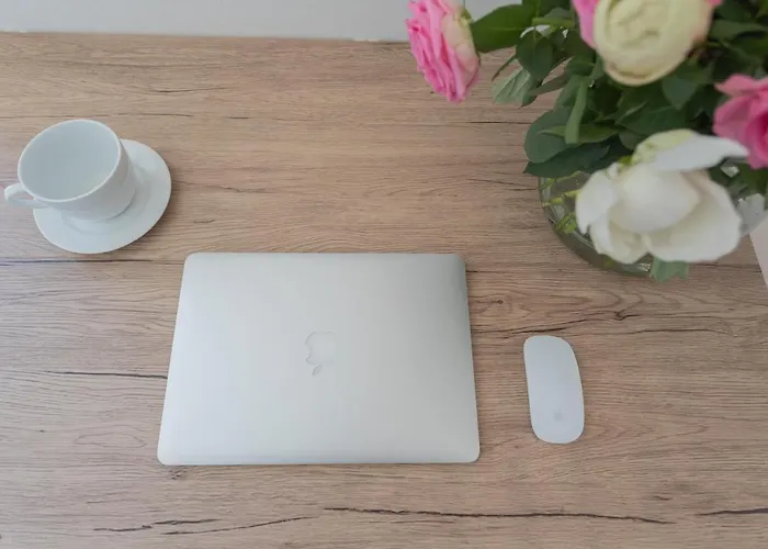 Tina's Window On By Rent * 梅泽格拉